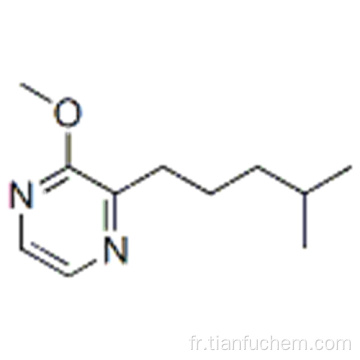 2-méthoxy-3- (4-méthylpentyl) pyrazine CAS 68844-95-1